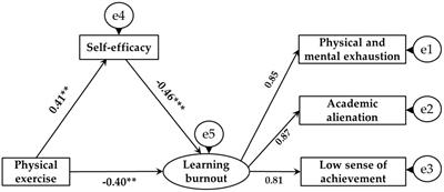 The influence of different physical exercise amounts on learning burnout in adolescents: The mediating effect of self-efficacy